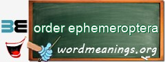 WordMeaning blackboard for order ephemeroptera